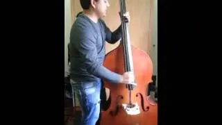 Stray Cats - Rock This Town (Upright Bass Cover)
