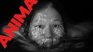 Anima