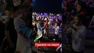 Горилла на хаипе Бобур Абдулазизов 
