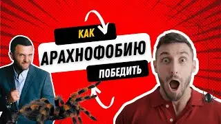 Как победить АРАХНОФОБИЮ с помощью НЛП?