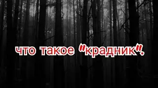 63) сихр "крадник".