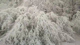 İsmayıllı