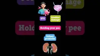 The Dangers of Holding Your Pee