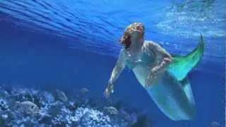 Meerjungfrau | Mermaid | ein Wunschkonzert