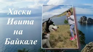 Поездка хаски Ивиты с семьёй на Байкал.