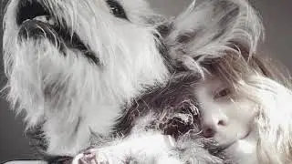 Rest in peace, Tsuki