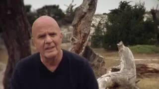 The Shift  Wayne Dyer