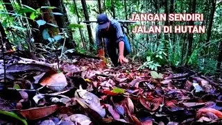 ALAM BORNEO