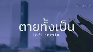 เป็นโสดทำไม ที่ทำหน้าปกคลิปผิดเป็นเพลงตายทั้งเป็น - lofi remix