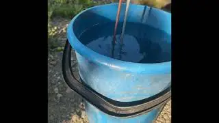 Обзор и проверка пекацида для голубики