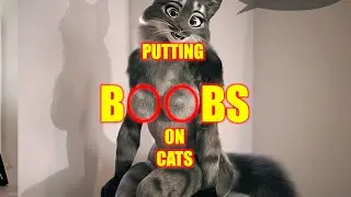 Putting Boobs on Cats (An Audio Short Story)
