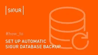 How to set up automatic Sigur database backup