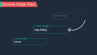 CSS Input Field Text Animation | Using HTML CSS
