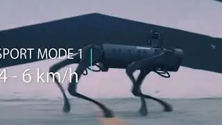 Robot events Australia - Meet your new Robot Dog