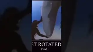 Get rotated idiot shark meme