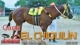 9.-El Chiquilín vs La Norteña vs El Rey de Oros