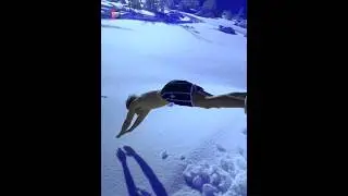 Never Eat Snow |😲😲| 