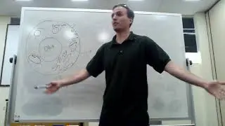 Med Gen Q3 W6 - TA - Parts of a cell, and what can break