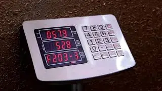 All stainless steel platform scale LED display instrument