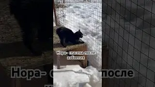 Прибыла из КБР. 