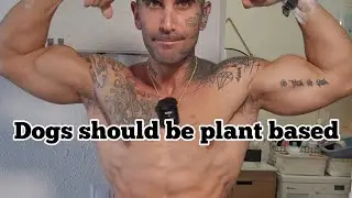 #71 - I don't understand how vegans don't get this - the CALIVEGAN podcast