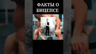 Факты о бицепсе #shorts