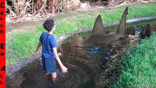 We FOUND a POND SHARK STUCK in SHALLOW WATER!