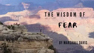 The Wisdom of Fear