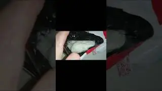 Как повысить жирность молока