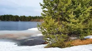 Весенние этюды
