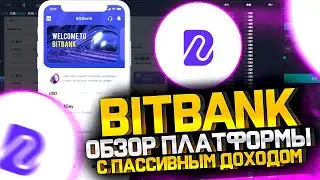 BitBank - Обзор платформы с пассивным доходом