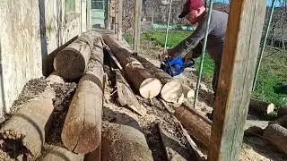 Holzfforma G255 /Stihl Ms025/250 Clone Cutting Dry Wood