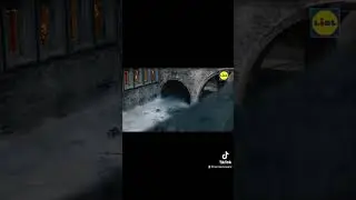 RACCOON RAVINE: Hamster Raccoon is famous!