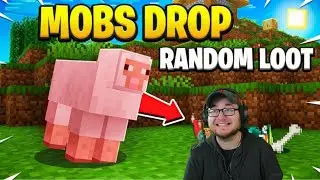 Mobs Drop Random Loot