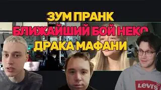 НЕКОГЛАЙ / ЗУМ ПРАНК С МАФАНЕЙ И МИШЕЙ АНИМЕШНИКОМ / ДРАКА МАФАНИ / БЛИЖАЙШИЙ БОЙ НЕКО