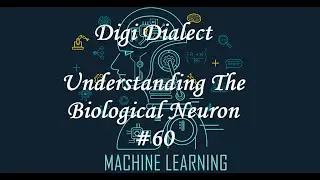 Lecture 60 | UNDERSTANDING THE BIOLOGICAL NEURON