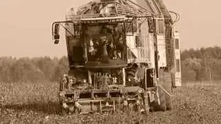 Sugar Beet Harvest 2014 Lithuania [www.plakys.lt]