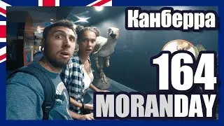 Moran Day 164 - Канберра (столица Австралии)