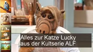 Alf: Katze Lucky hat er zum Fressen gern