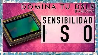 Sensibilidad ISO
