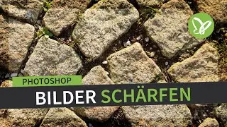 Photoshop-Techniken-Kurs: Bilder schärfen
