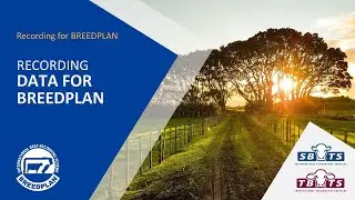 Recording Data for BREEDPLAN