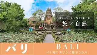 【旅×自然】バリ島の美しさに魅了される。