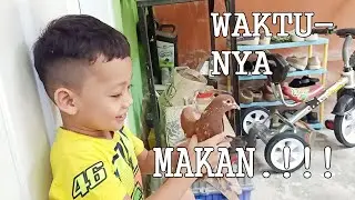 Memberi Makan Burung Merpati