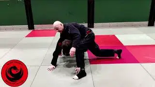 Assassin Choke System - Turtle Attack - Peruvian Neck Tie  (week 7)