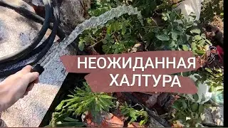 Заменили трубу для скважины. Внезапная халтура 