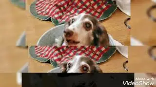 巣籠もり時間でも楽しくトレーニングしてます