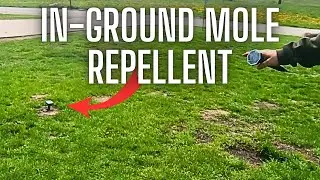 Mole Repellent Solar Powered 8 Pack | Ultrasonic Mole Repeller