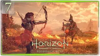 Решаем проблемы Пустынников... Horizon Forbidden West
