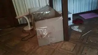 Никитос зайка привет Мы что продуло Почему вы читайте выделяя пожалуйста я не занималась сегодня но